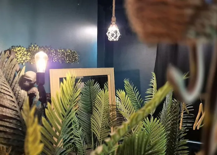 Appartement Amazonia - Private And Cinema Boulogne-sur-Mer